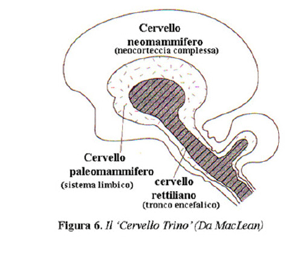 Pilates e psicoterapia Novi Ligure Genova